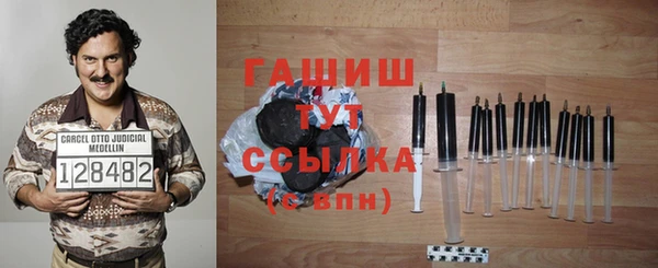 2c-b Горно-Алтайск