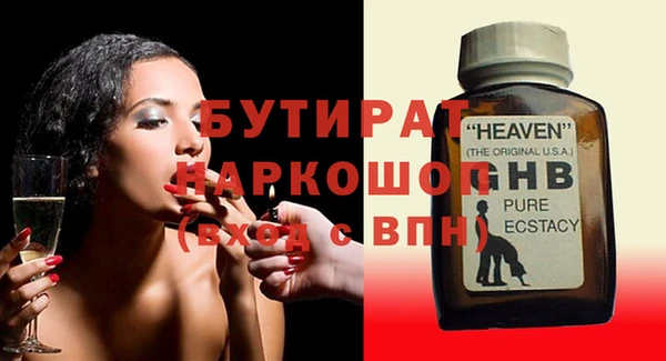 индика Вяземский