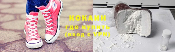 индика Вяземский