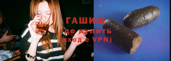 индика Вяземский
