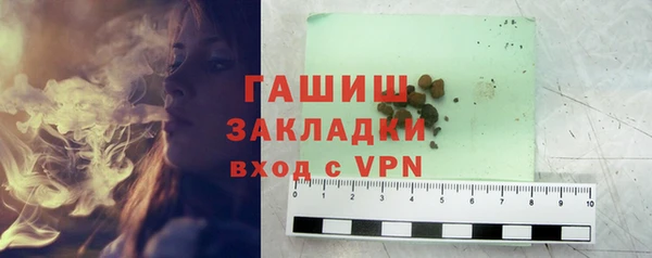 индика Вяземский