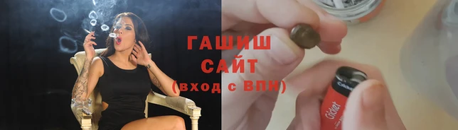 индика Вяземский