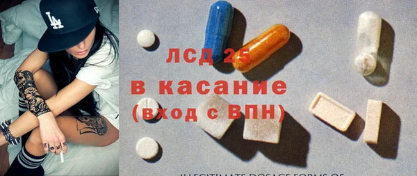индика Вяземский