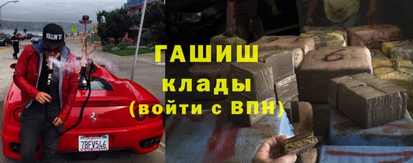 индика Вяземский