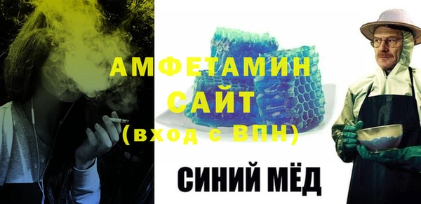 индика Вяземский