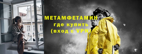 индика Вяземский