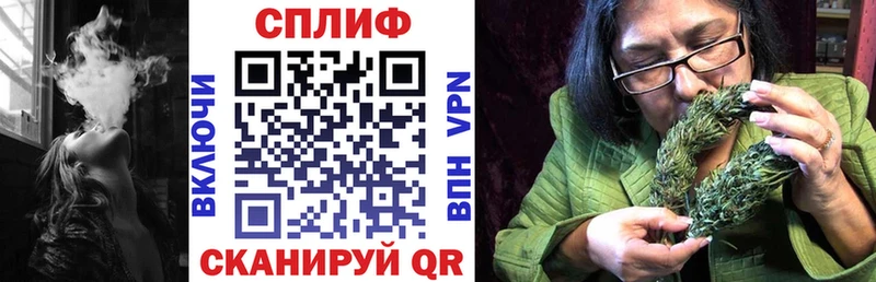 Марихуана индика  продажа наркотиков  Дигора 